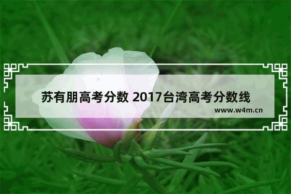 苏有朋高考分数 2017台湾高考分数线