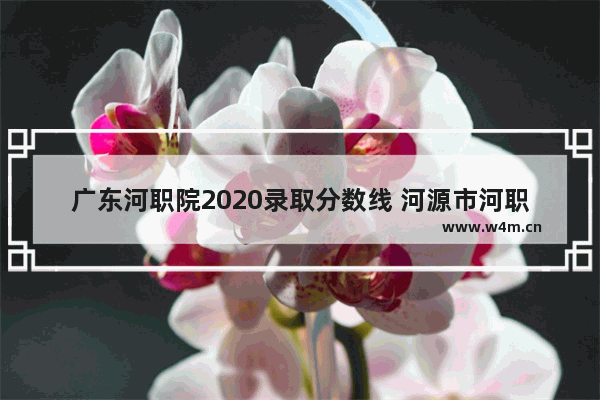 广东河职院2020录取分数线 河源市河职院2020分数线多少