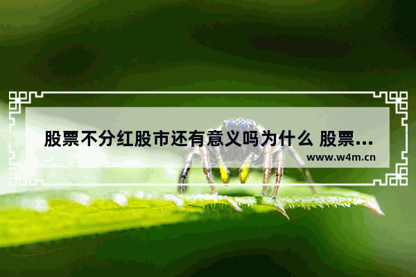 股票不分红股市还有意义吗为什么 股票不分红股市还有意义吗