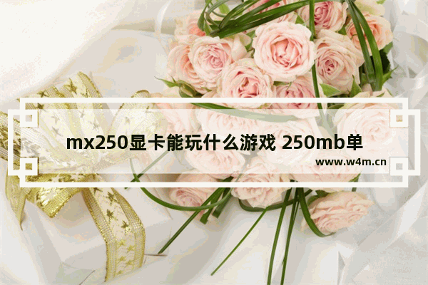 mx250显卡能玩什么游戏 250mb单机游戏推荐