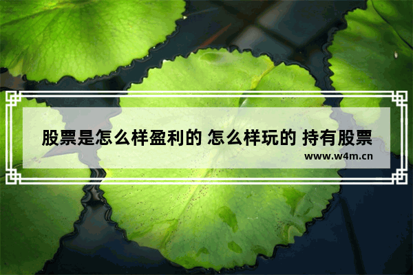 股票是怎么样盈利的 怎么样玩的 持有股票能参与公司的年终分红吗 银行股票分红能赚钱吗