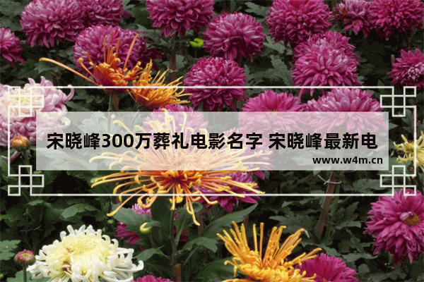 宋晓峰300万葬礼电影名字 宋晓峰最新电影名字