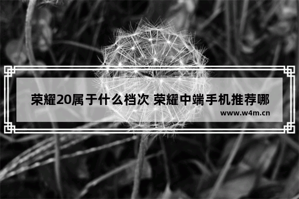 荣耀20属于什么档次 荣耀中端手机推荐哪款