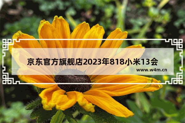 京东官方旗舰店2023年818小米13会降价多少 双十一小米手机推荐