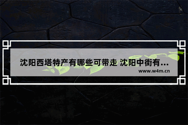 沈阳西塔特产有哪些可带走 沈阳中街有什么好玩的地方值得推荐的