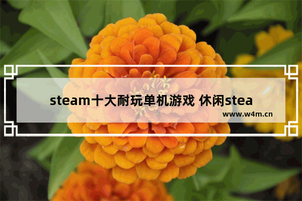 steam十大耐玩单机游戏 休闲steam单机游戏推荐