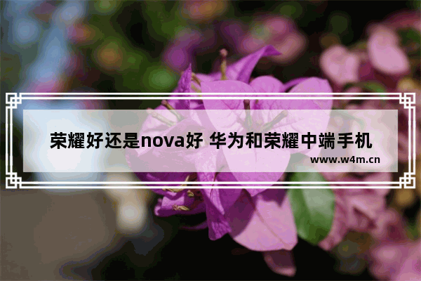 荣耀好还是nova好 华为和荣耀中端手机推荐哪个好