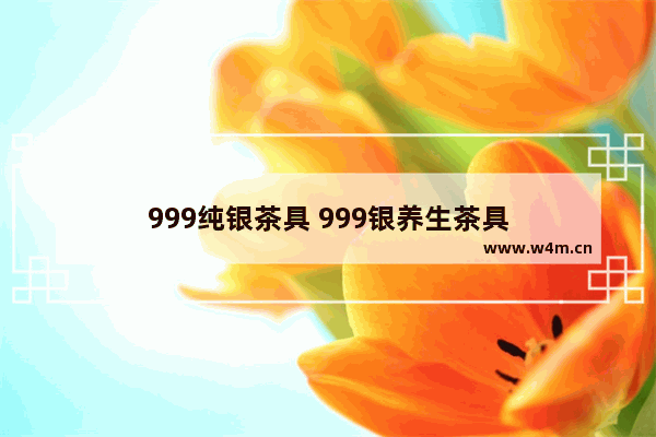 999纯银茶具 999银养生茶具