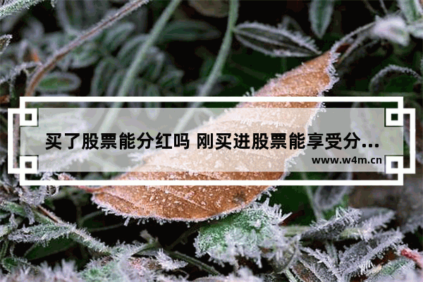 买了股票能分红吗 刚买进股票能享受分红吗