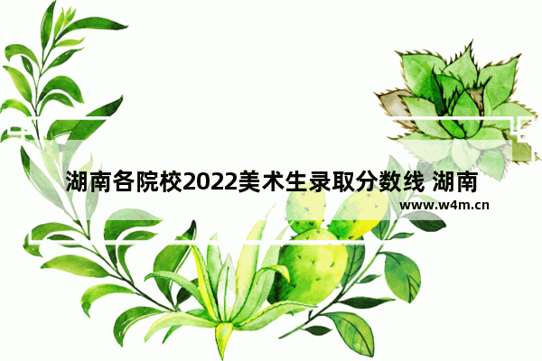 湖南各院校2022美术生录取分数线 湖南2022美术生一本录取分数线