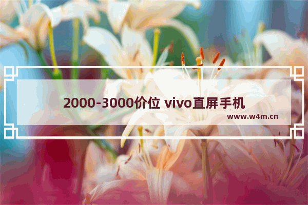 2000-3000价位 vivo直屏手机推荐 双十一直屏手机推荐