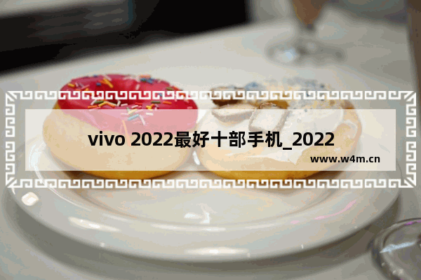 vivo 2022最好十部手机_2022信号最强5g手机排行榜