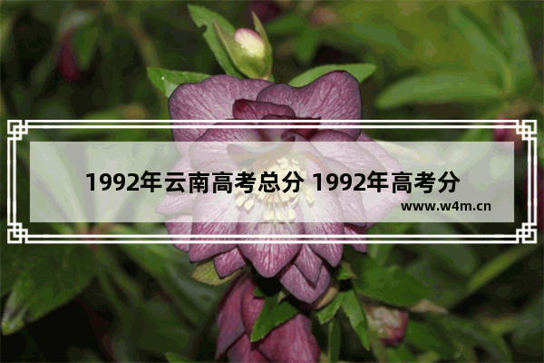 1992年云南高考总分 1992年高考分数线云南