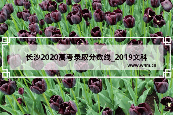 长沙2020高考录取分数线_2019文科二本分数线