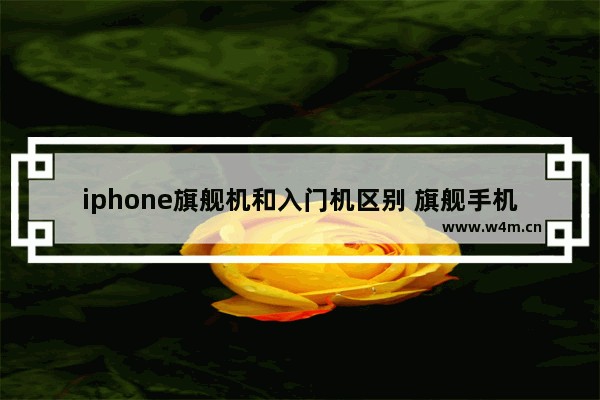 iphone旗舰机和入门机区别 旗舰手机推荐苹果