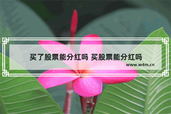 买了股票能分红吗 买股票能分红吗