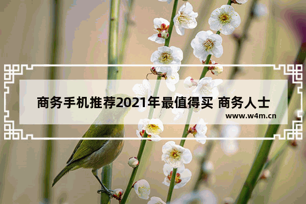 商务手机推荐2021年最值得买 商务人士安卓手机推荐