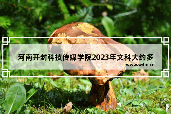 河南开封科技传媒学院2023年文科大约多少分 开封学前教育高考分数线