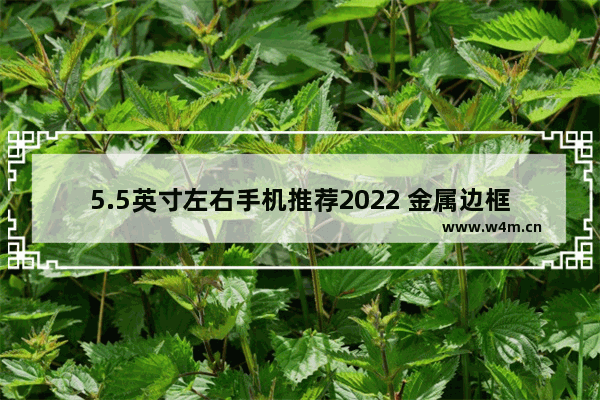 5.5英寸左右手机推荐2022 金属边框手机推荐小屏