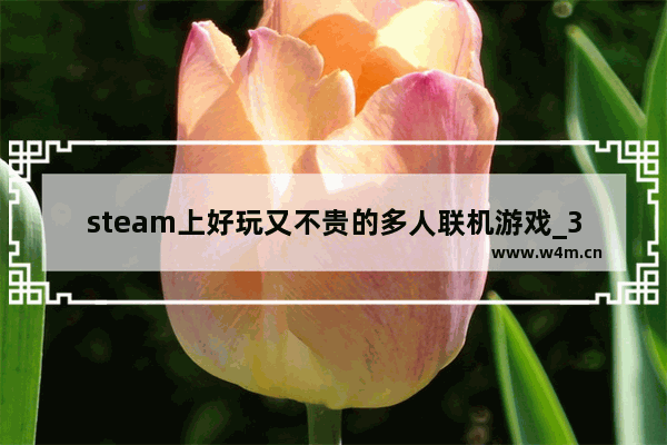 steam上好玩又不贵的多人联机游戏_3-4人联机电脑游戏推荐