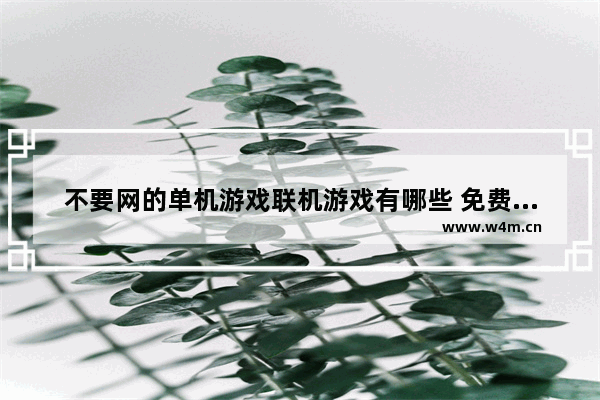 不要网的单机游戏联机游戏有哪些 免费单机联机电脑游戏推荐