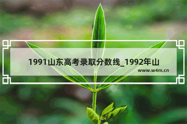 1991山东高考录取分数线_1992年山东高考分数线