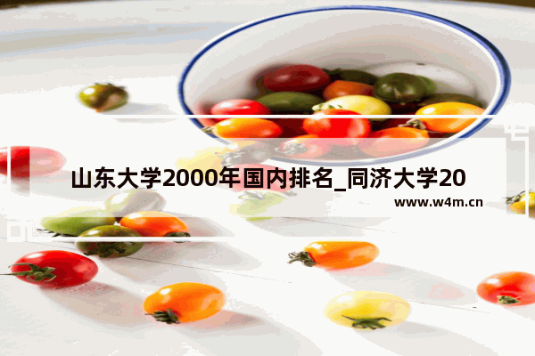 山东大学2000年国内排名_同济大学2000年录取分数线