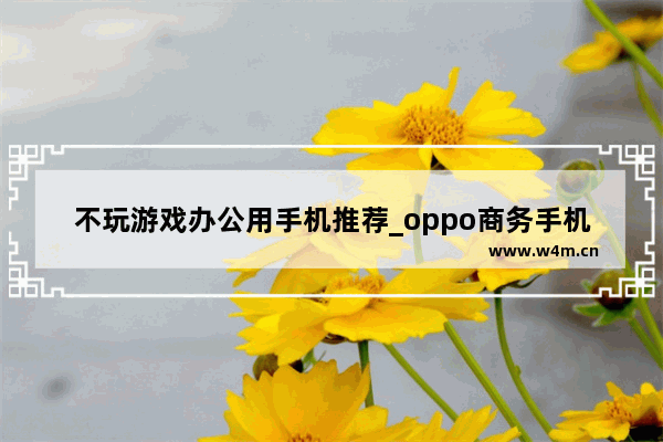 不玩游戏办公用手机推荐_oppo商务手机哪个好