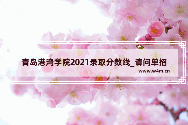 青岛港湾学院2021录取分数线_请问单招港湾大约多少分能过