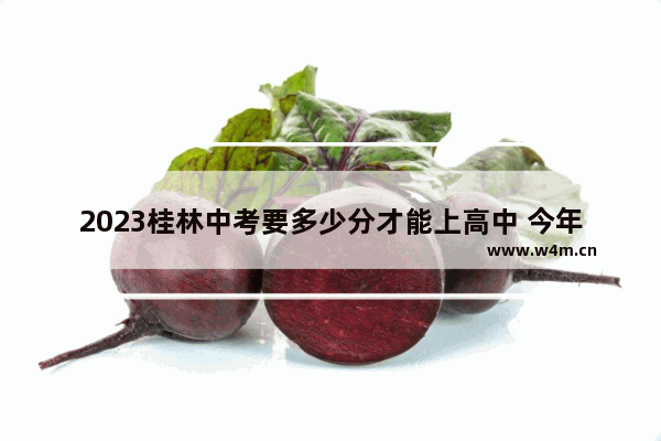 2023桂林中考要多少分才能上高中 今年广西桂林的高考分数线