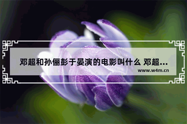 邓超和孙俪彭于晏演的电影叫什么 邓超孙俪最新电影叫什么时候上映