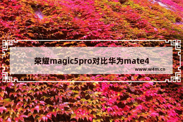 荣耀magic5pro对比华为mate40区别 华为和荣耀中高端手机推荐