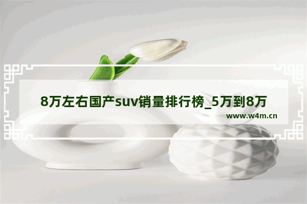 8万左右国产suv销量排行榜_5万到8万库存车推荐