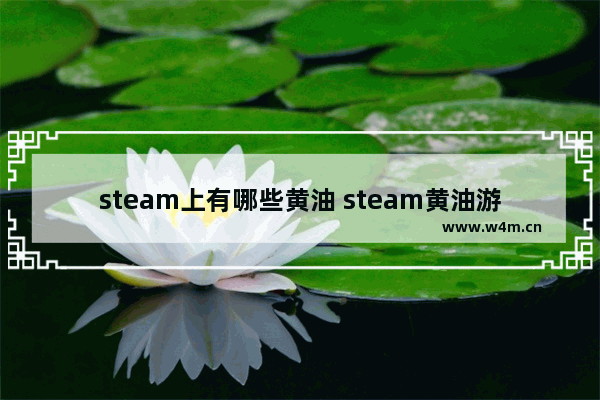 steam上有哪些黄油 steam黄油游戏推荐