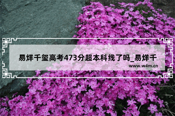 易烊千玺高考473分超本科线了吗_易烊千玺高考录取成绩是什么