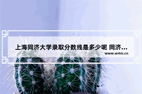 上海同济大学录取分数线是多少呢 同济大学高考分数线公布