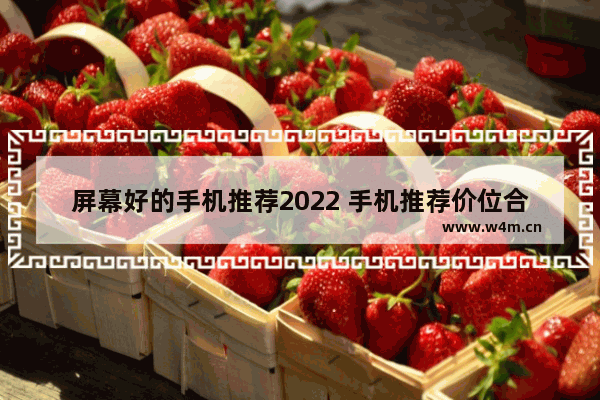 屏幕好的手机推荐2022 手机推荐价位合适