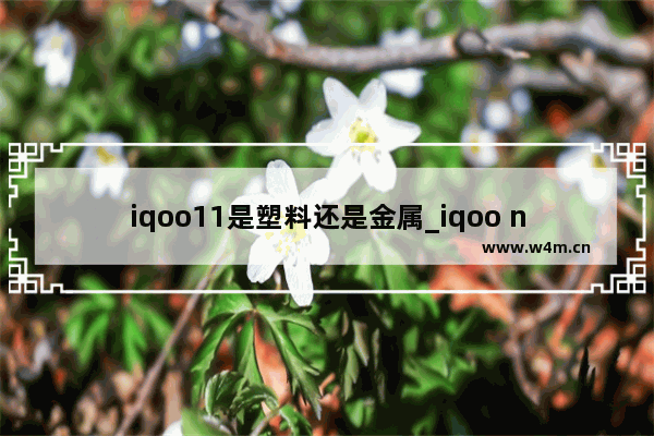 iqoo11是塑料还是金属_iqoo neo 5活力版后盖和中框材质