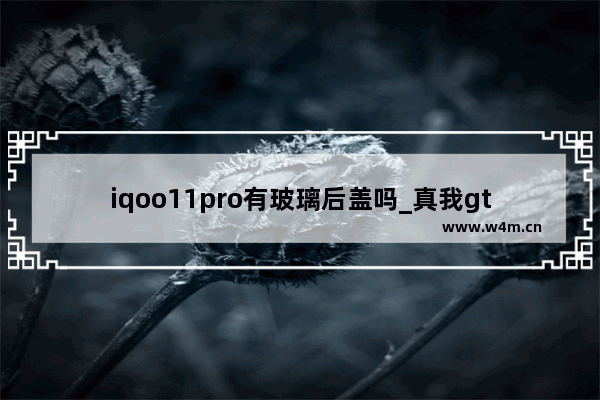 iqoo11pro有玻璃后盖吗_真我gt neo5是金属边框吗