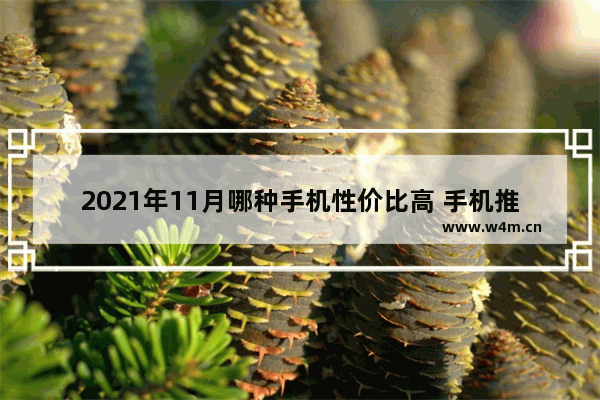 2021年11月哪种手机性价比高 手机推荐性价比高靠谱