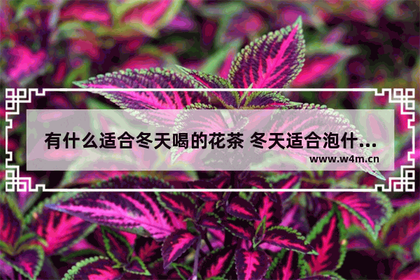 有什么适合冬天喝的花茶 冬天适合泡什么养生茶