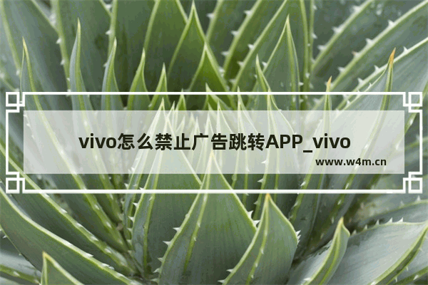 vivo怎么禁止广告跳转APP_vivos10怎么关闭广告