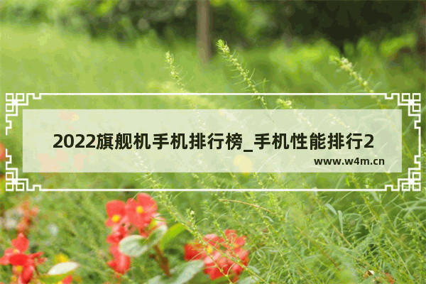 2022旗舰机手机排行榜_手机性能排行2022前十名最新