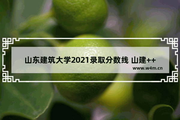 山东建筑大学2021录取分数线 山建++++分数线