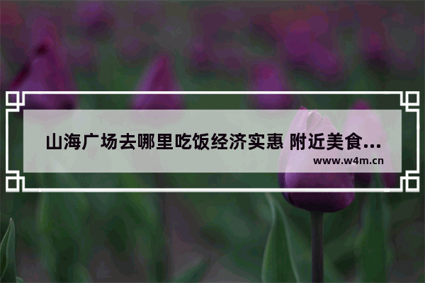 山海广场去哪里吃饭经济实惠 附近美食推荐火锅实惠点在哪里