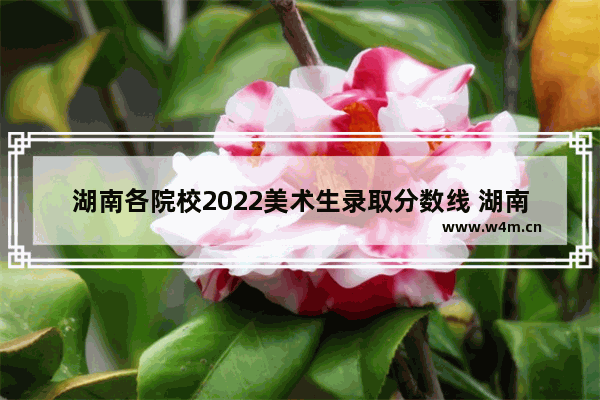 湖南各院校2022美术生录取分数线 湖南艺术专业生高考分数线