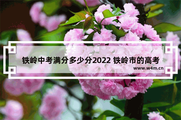 铁岭中考满分多少分2022 铁岭市的高考分数线