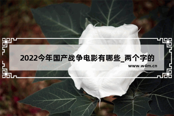 2022今年国产战争电影有哪些_两个字的感人国产电影片