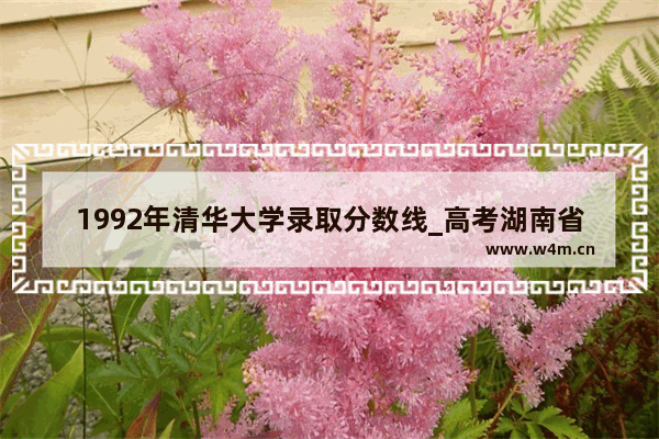 1992年清华大学录取分数线_高考湖南省生物赋分92什么水平