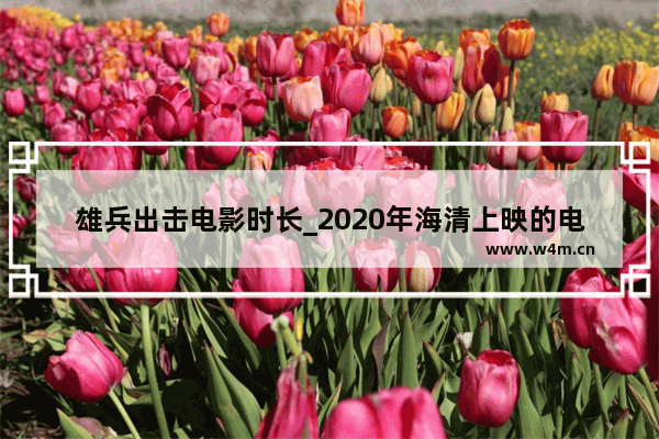 雄兵出击电影时长_2020年海清上映的电影